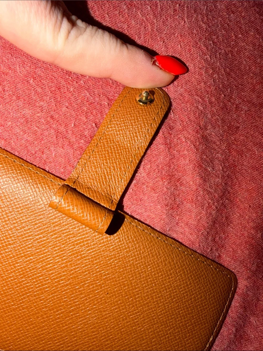 Louis Vuitton iconic louis